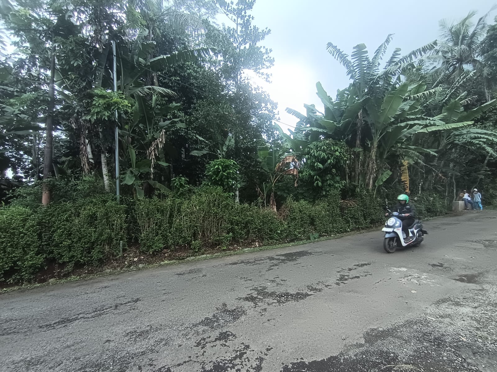 Slide 4