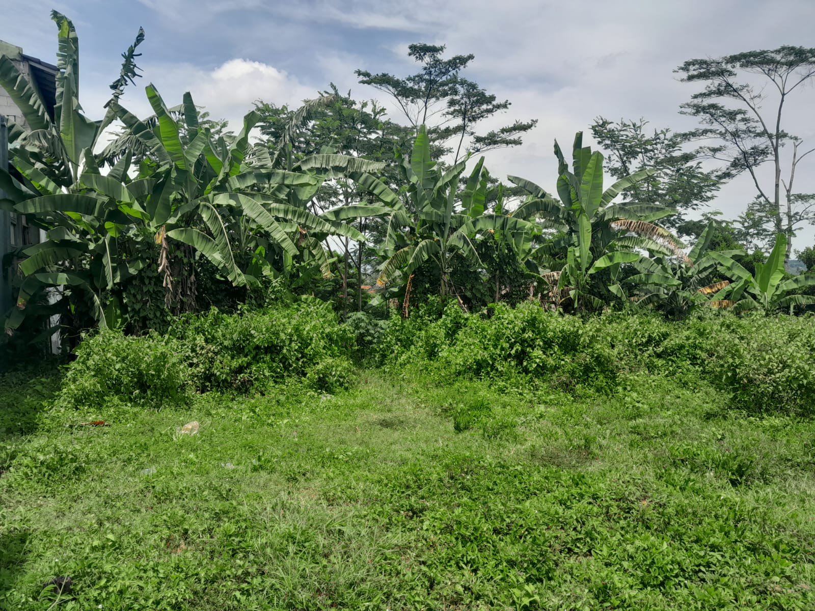 Tanah dan Bangunan