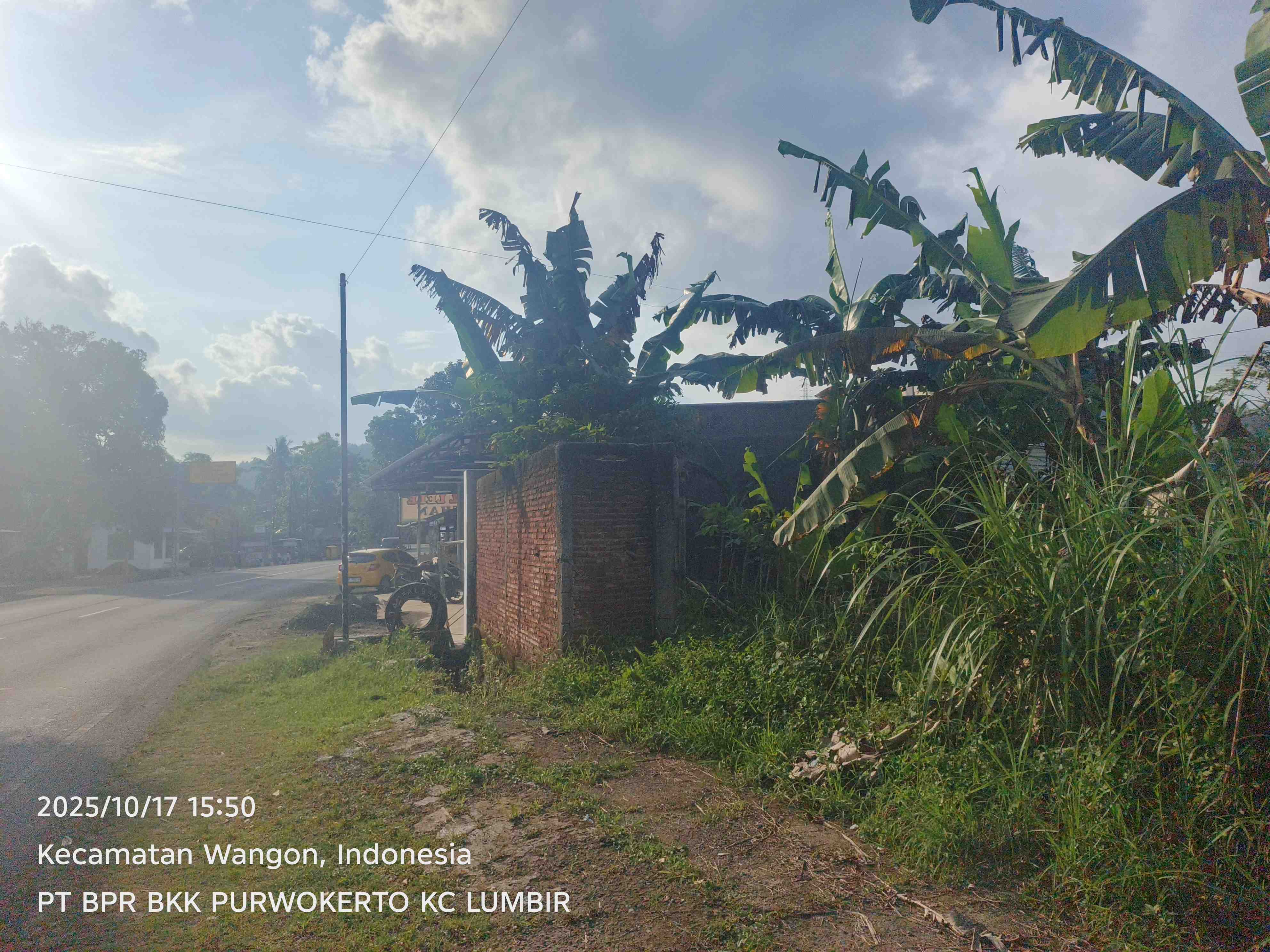 Slide 5