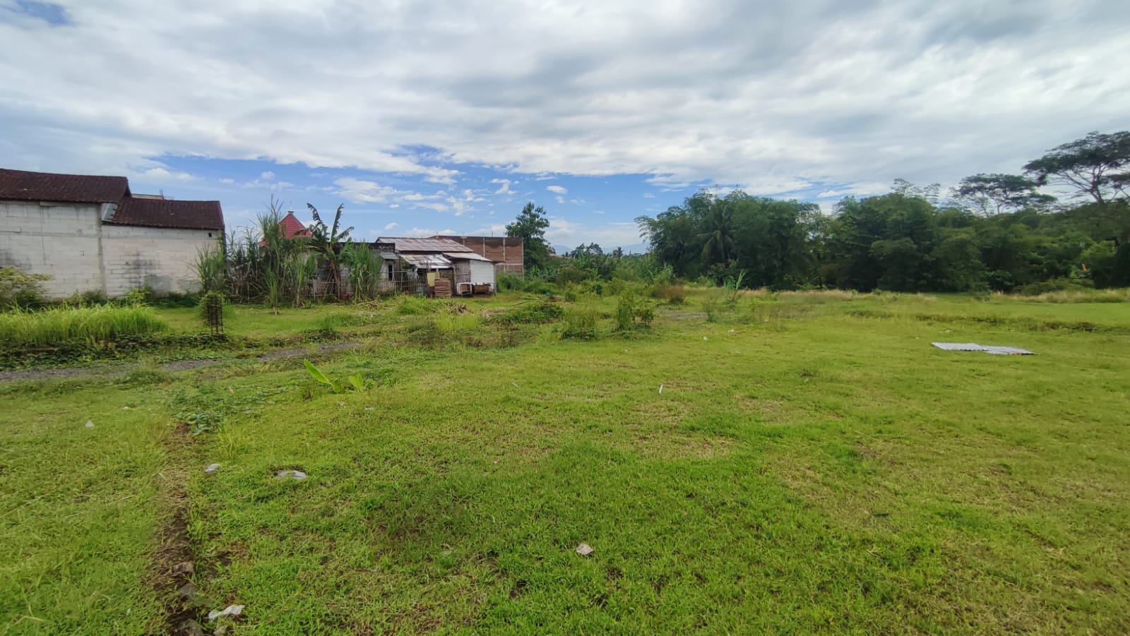 Tanah