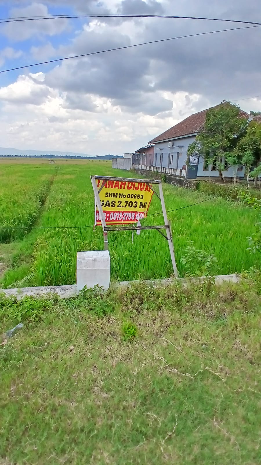 Tanah